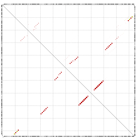 Dot Plot