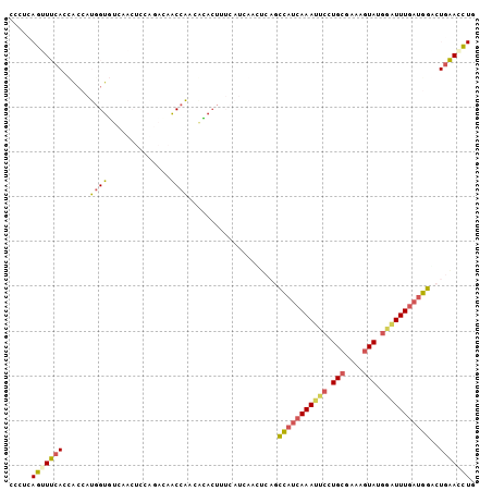 Dot Plot