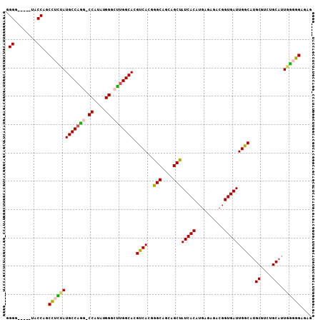 Dot Plot