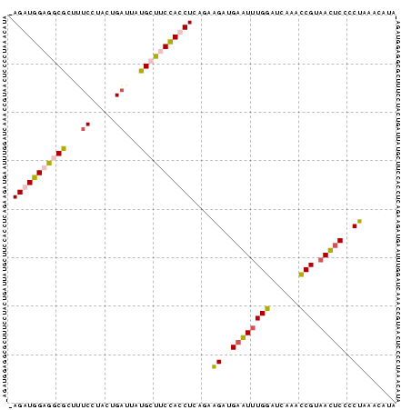 Dot Plot