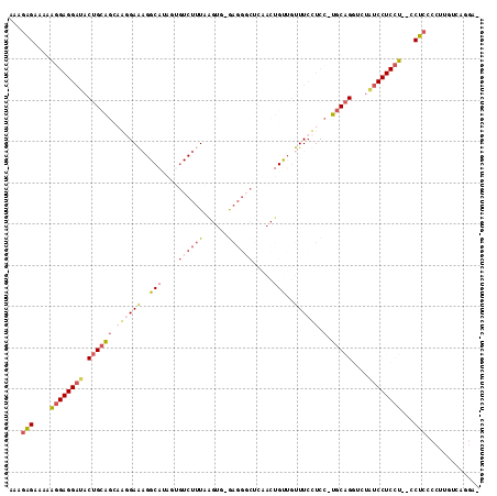 Dot Plot