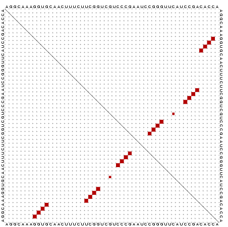 Dot Plot