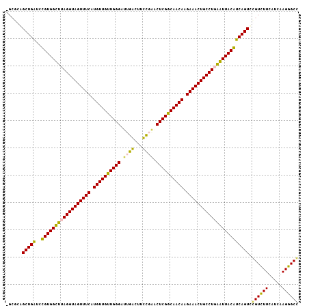 Dot Plot