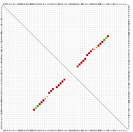 Dot Plot