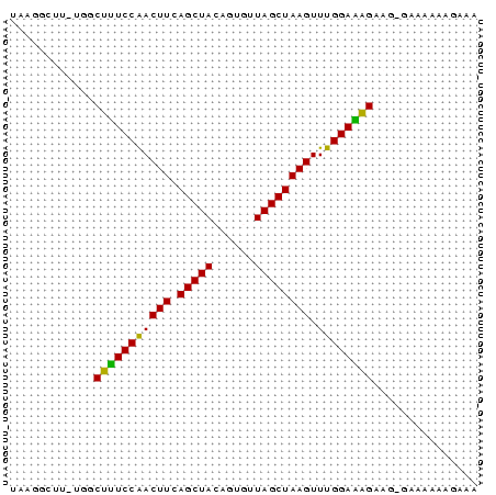 Dot Plot