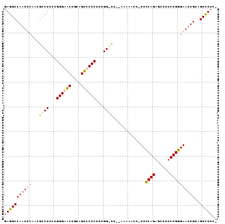 Dot Plot