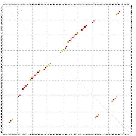 Dot Plot