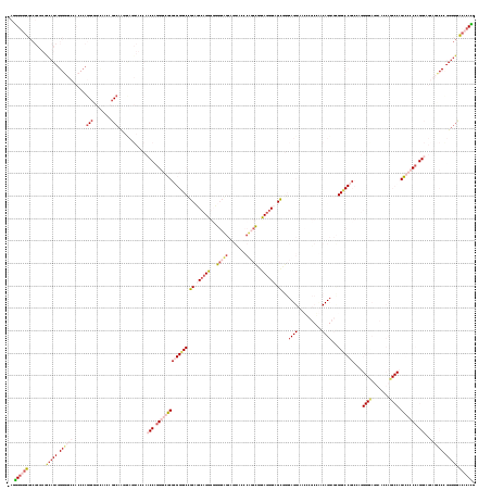 Dot Plot