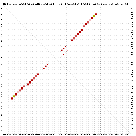 Dot Plot