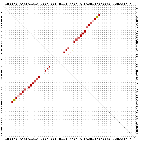 Dot Plot