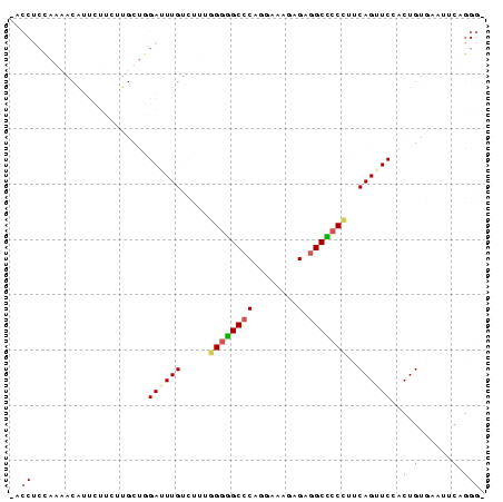 Dot Plot