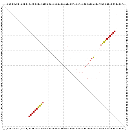 Dot Plot