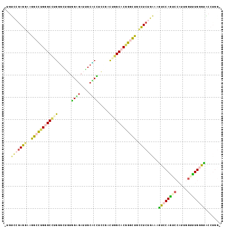 Dot Plot