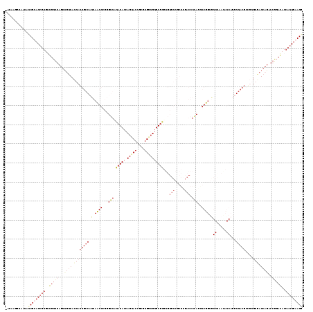 Dot Plot