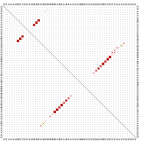 Dot Plot