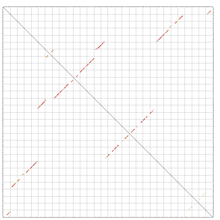 Dot Plot