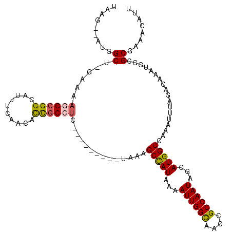 secondary structure