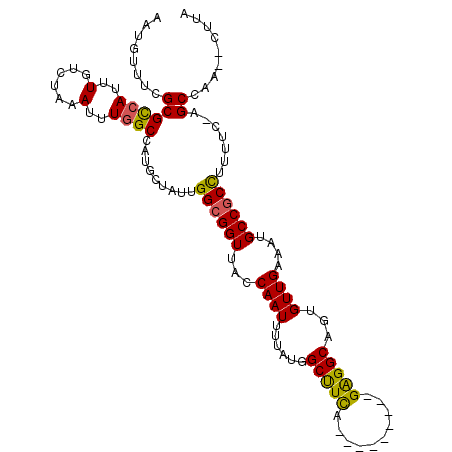 secondary structure