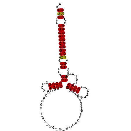 secondary structure