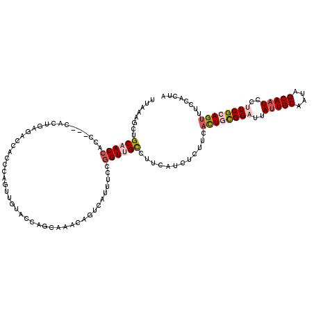 secondary structure