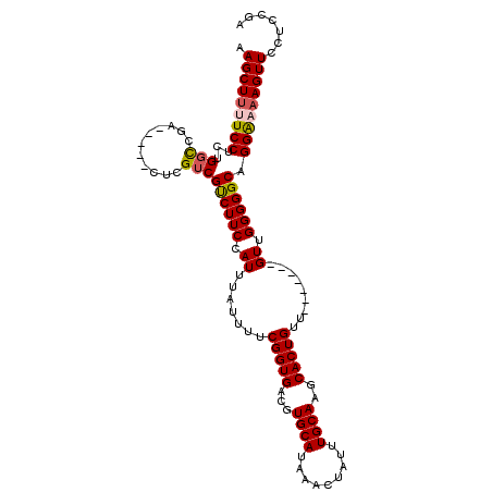 secondary structure