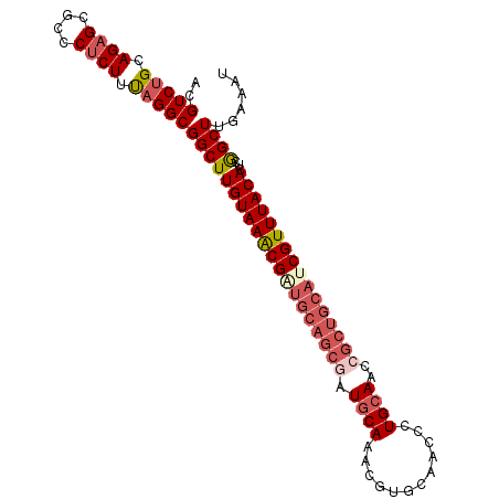 secondary structure
