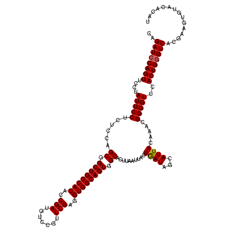 secondary structure