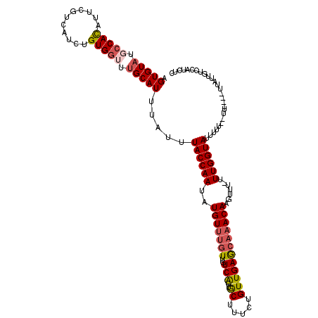secondary structure