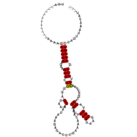 secondary structure