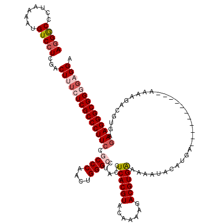 secondary structure