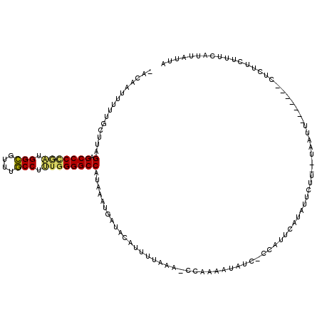 secondary structure