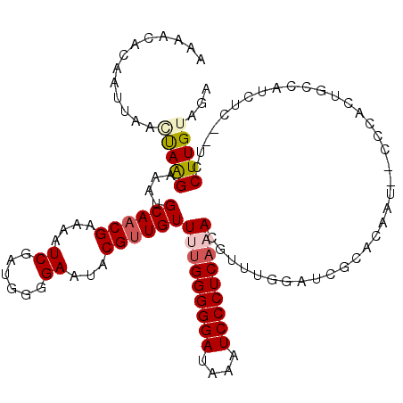 secondary structure
