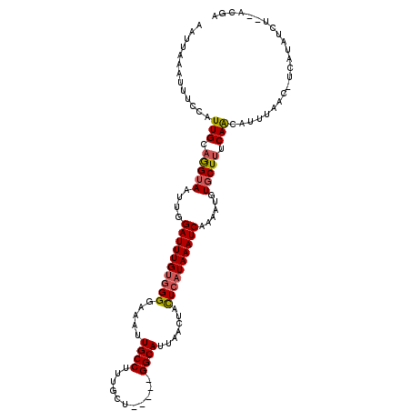 secondary structure