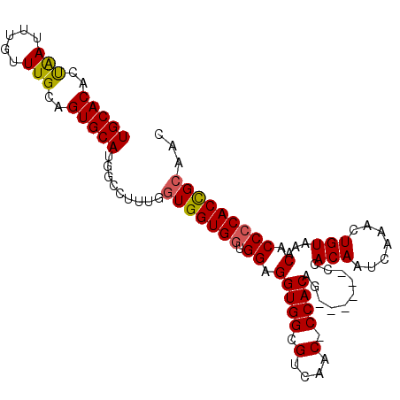 secondary structure