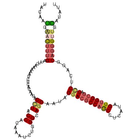 secondary structure