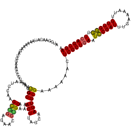 secondary structure