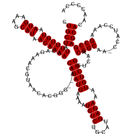 secondary structure