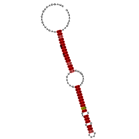 secondary structure