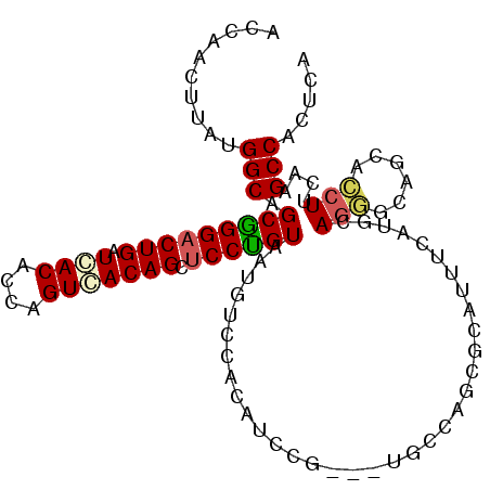 secondary structure