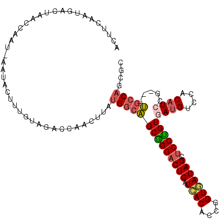 secondary structure