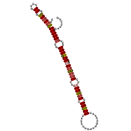 secondary structure