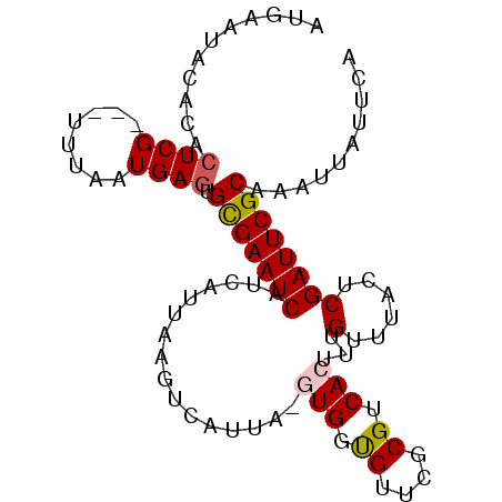 secondary structure