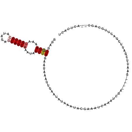 secondary structure