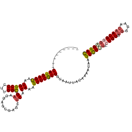 secondary structure