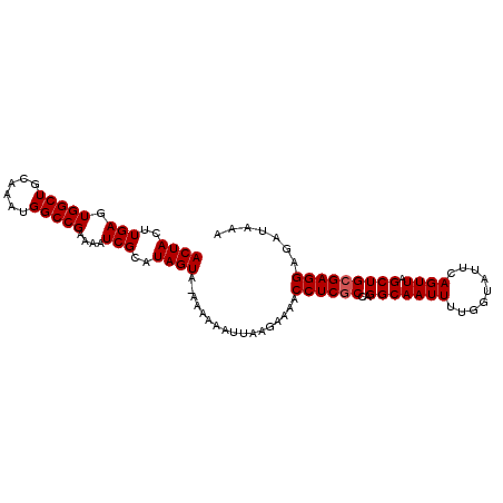 secondary structure