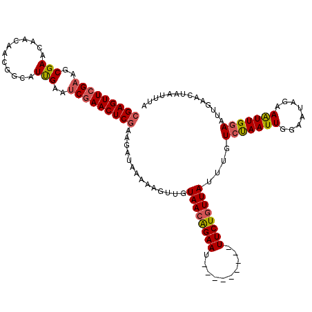 secondary structure
