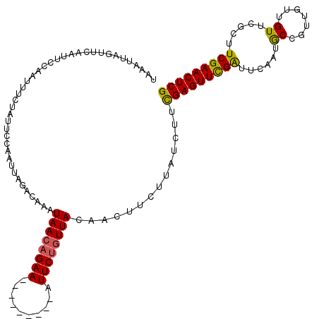 secondary structure