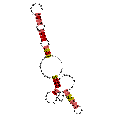 secondary structure