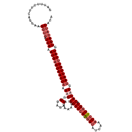 secondary structure
