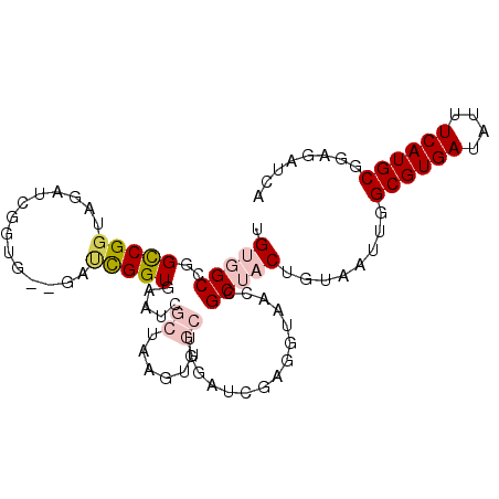 secondary structure